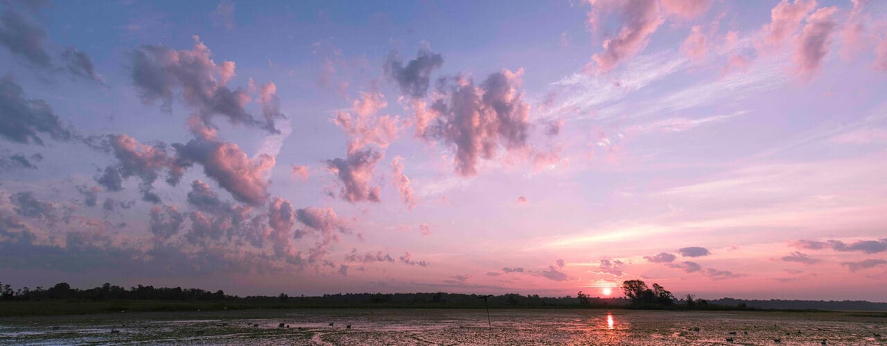 sunset over pond