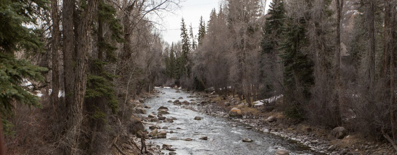 fly fishing in a creek